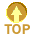 top.gif (416 bytes)